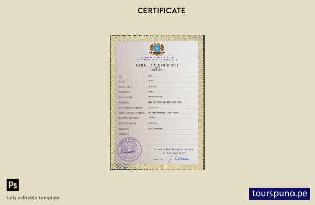 listo para imprimir plantilla PSD del certificado de nacimiento del registro  11
